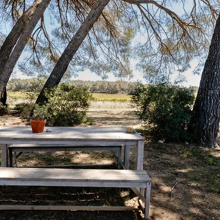 Saint Paul Le Marseillais Tentes Equippees Hebergements Insolites Luxury tent