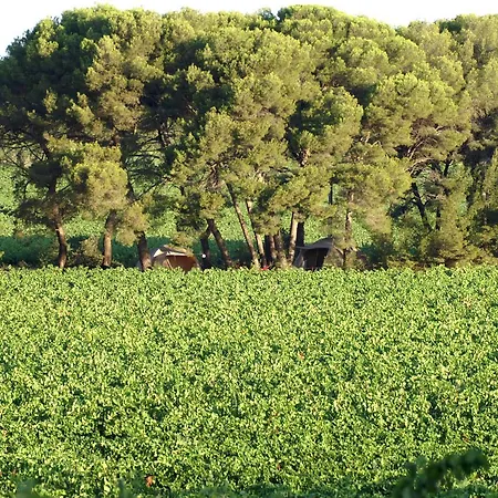 Saint Paul Le Marseillais Tentes Equippees Hebergements Insolites 럭셔리텐트