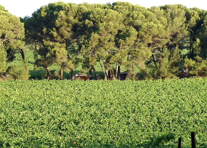 Saint Paul Le Marseillais Tentes Equippees Hébergements Insolites Tente de luxe